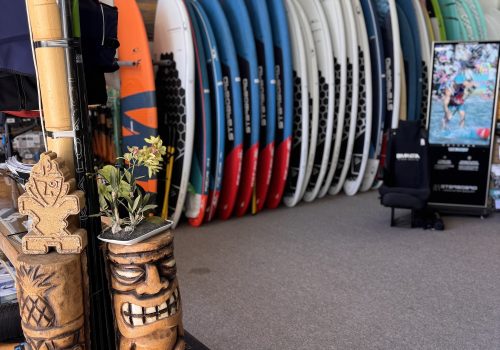 Cove Profile_2026 2 12