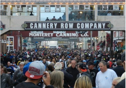 PermaJewel Profile_2025 11 17